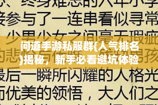 新手必看避坑体验佳图片