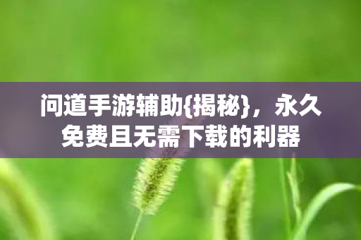 问道手游辅助{揭秘}，永久免费且无需下载的利器