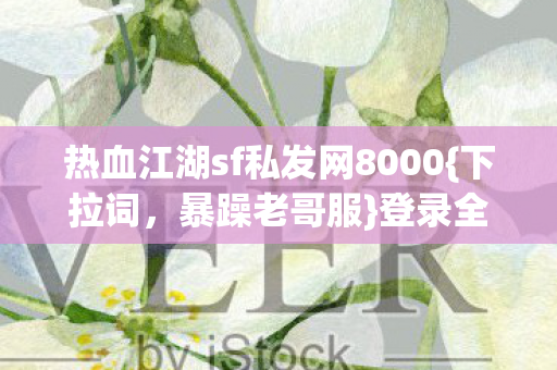 热血江湖sf私发网8000图片
