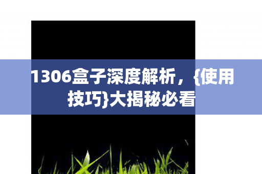 1306盒子深度解析，{使用技巧}大揭秘必看