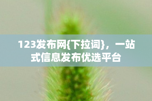 123发布网{下拉词}，一站式信息发布优选平台