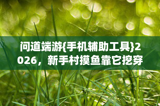 问道端游{手机辅助工具}2026，新手村摸鱼靠它挖穿地图