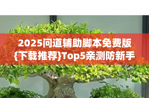 2025问道辅助脚本免费版图片