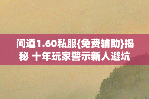 揭秘 十年玩家警示新人避坑图片