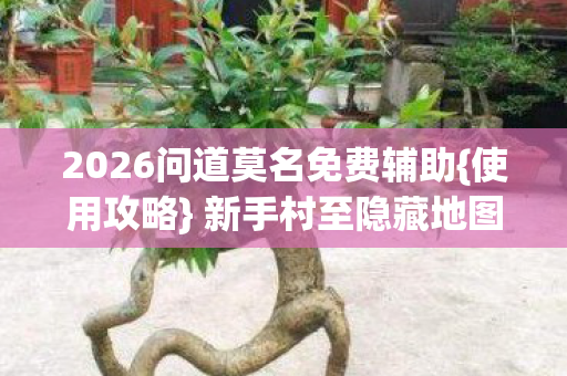 2026问道莫名免费辅助{使用攻略} 新手村至隐藏地图通关 2026问道莫名免费辅助{使用攻略} 新手村至隐藏地图通关