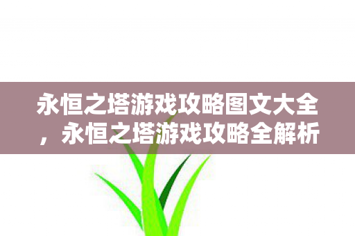 永恒之塔游戏攻略图文大全，永恒之塔游戏攻略全解析