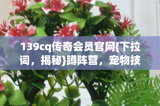 139cq传奇会员官网{下拉词,揭秘}蹲阵营,宠物技能血泪进化 139cq传奇会员官网{下拉词,揭秘}蹲阵营,宠物技能血泪进化