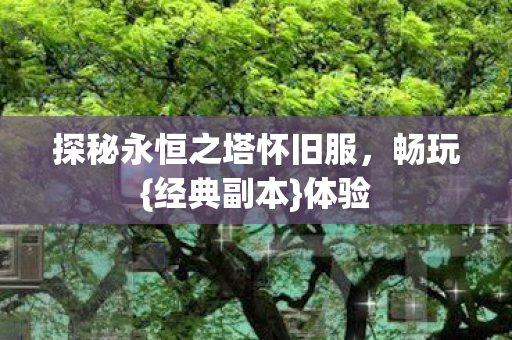 探秘永恒之塔怀旧服图片
