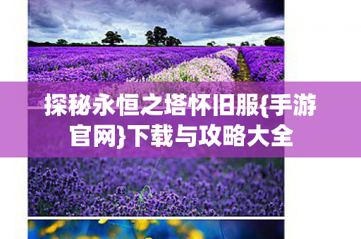 探秘永恒之塔怀旧服图片