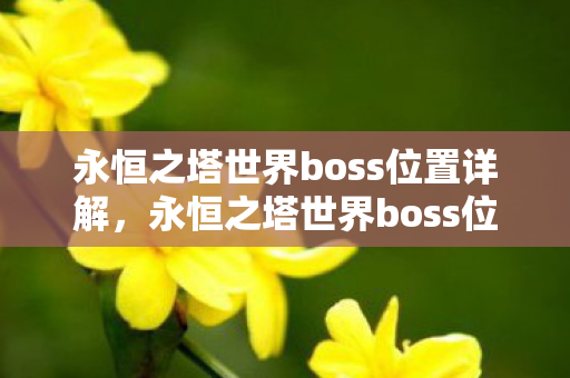 永恒之塔世界boss位置详解，永恒之塔世界boss位置全解析