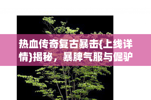 暴脾气服与倔驴登录键图片