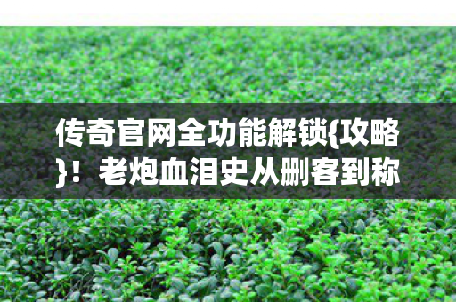 传奇官网全功能解锁{攻略}！老炮血泪史从删客到称霸