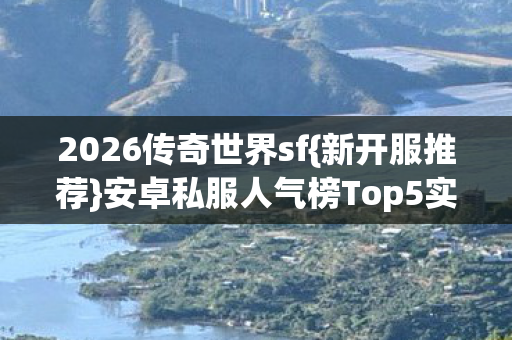 安卓私服人气榜Top5实测图片