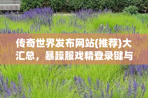 暴躁服戏精登录键与踩坑经历图片