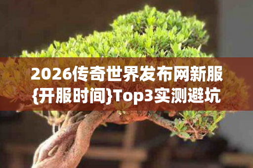 2026传奇世界发布网新服图片