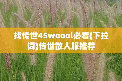 找传世45woool必看图片