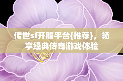 畅享经典传奇游戏体验图片