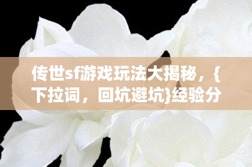 传世sf游戏玩法大揭秘图片