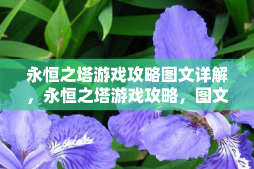 永恒之塔游戏攻略图文详解，永恒之塔游戏攻略，图文详解助你轻松通关