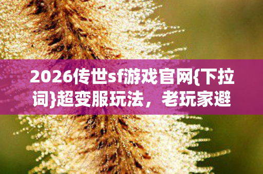 2026传世sf游戏官网图片