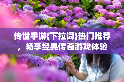 畅享经典传奇游戏体验图片