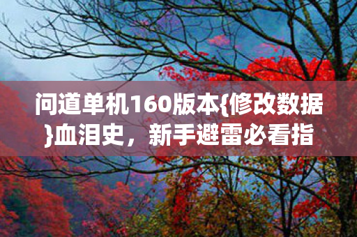 问道单机160版本{修改数据}血泪史，新手避雷必看指南