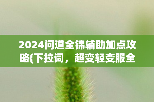 2024问道全锦辅助加点攻略{下拉词，超变轻变服全解}