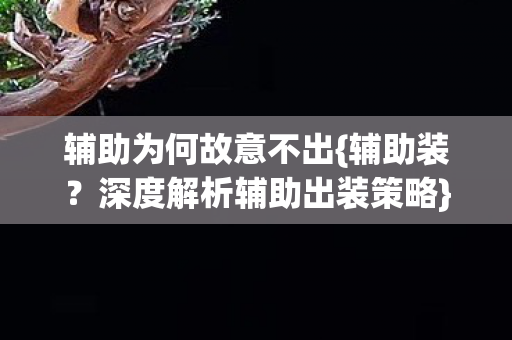 辅助为何故意不出{辅助装？深度解析辅助出装策略}