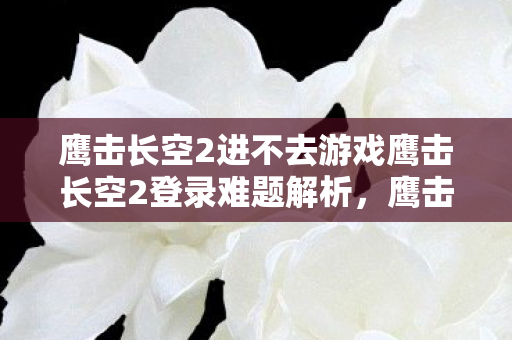 鹰击长空2进不去游戏鹰击长空2登录难题解析图片