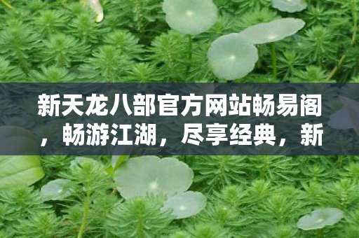 新天龙八部官方网站畅易阁，畅游江湖，尽享经典，新天龙八部畅易阁，畅游江湖，尽享经典