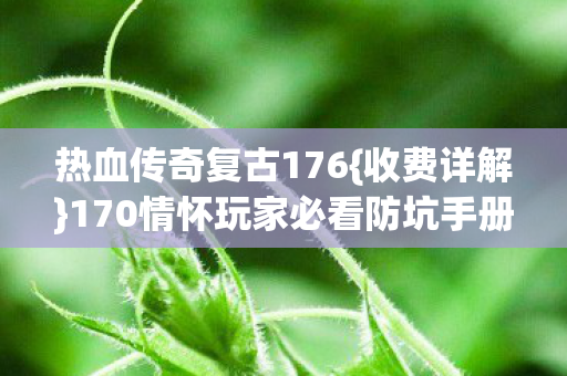 热血传奇复古176{收费详解}170情怀玩家必看防坑手册 热血传奇复古176{收费详解}170情怀玩家必看防坑手册