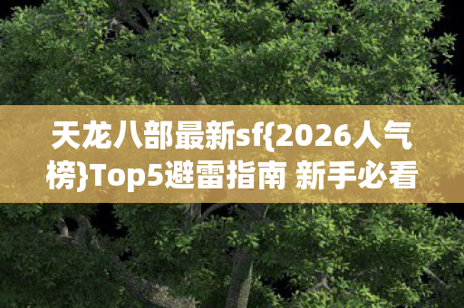 Top5避雷指南 新手必看图片