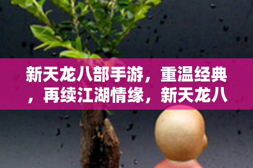 新天龙八部手游，重温经典，再续江湖情缘，新天龙八部手游重温经典，再续江湖情缘
