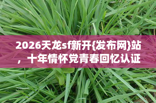2026天龙sf新开{发布网}站,十年情怀党青春回忆认证服 2026天龙sf新开{发布网}站,十年情怀党青春回忆认证服