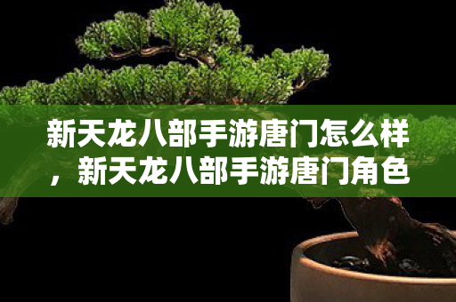 新天龙八部手游唐门怎么样，新天龙八部手游唐门角色解析