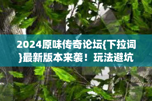 2024原味传奇论坛{下拉词}最新版本来袭！玩法避坑全公开
