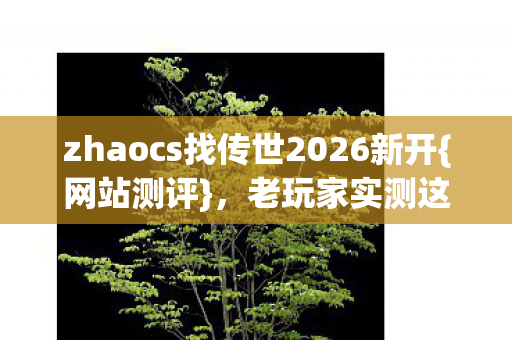 zhaocs找传世2026新开图片