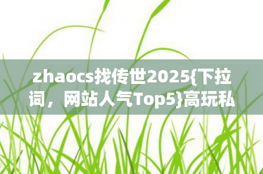 zhaocs找传世2025图片