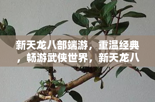 新天龙八部端游，重温经典，畅游武侠世界，新天龙八部端游，重温经典，畅游武侠世界