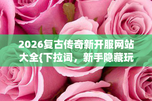 2026复古传奇新开服网站大全{下拉词，新手隐藏玩法}揭秘