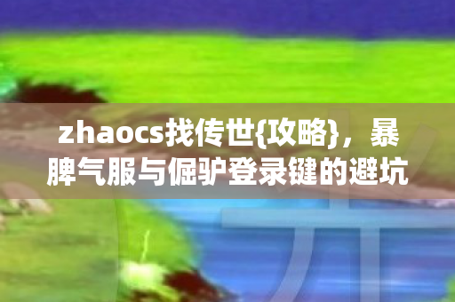 暴脾气服与倔驴登录键的避坑指南图片