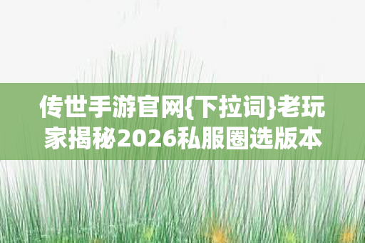 老玩家揭秘2026私服圈选版本避坑技巧图片