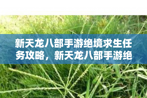 新天龙八部手游绝境求生任务攻略，新天龙八部手游绝境求生任务全攻略