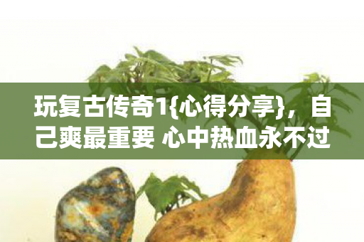 玩复古传奇1{心得分享}，自己爽最重要 心中热血永不过时
