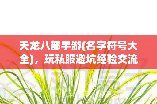玩私服避坑经验交流图片