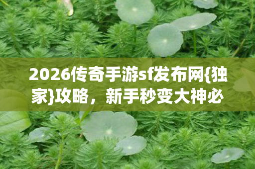 2026传奇手游sf发布网图片