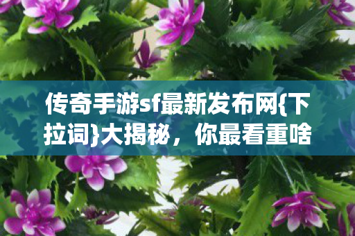 传奇手游sf最新发布网图片
