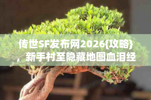 新手村至隐藏地图血泪经验图片