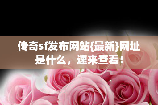 传奇sf发布网站图片