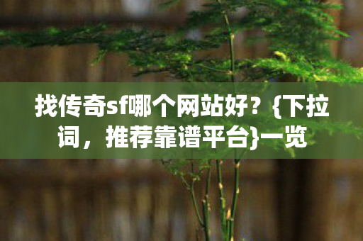 找传奇sf哪个网站好图片